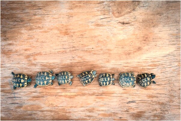 夢到了逝世的朋友會怎么樣_周公解夢官網