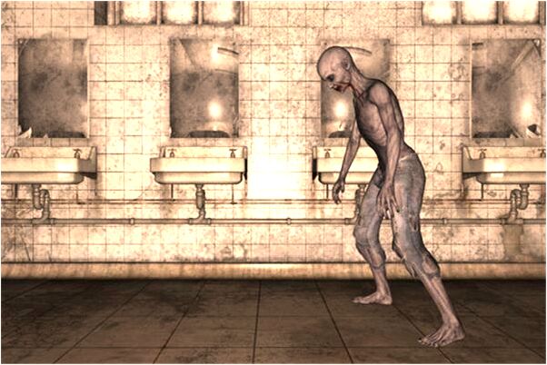 夢見養兔子和猴子預示什麼_周公解夢官網