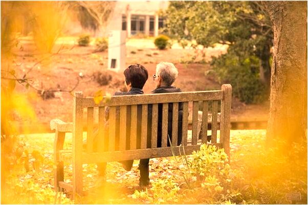 夢到了家裡買了很多小豬怎么說_周公解夢官網