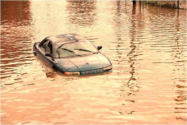 夢見殺豬做生意是什麼意思_周公解夢官網