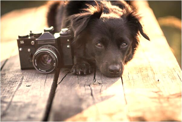 夢見別人不小心撞到我是凶兆還是吉兆_周公解夢官網