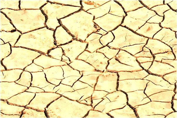 夢到長發被姐姐剪短了有什麼意思_周公解夢官網