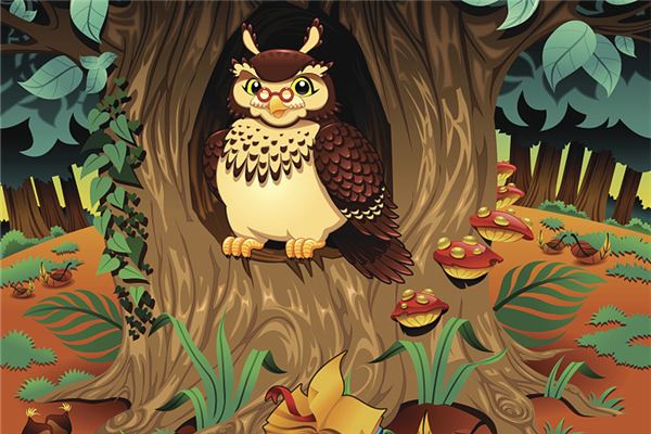 夢到貓頭鷹_周公解夢