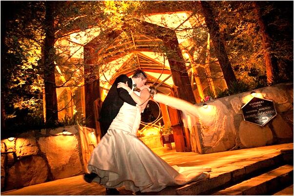 夢到了陌生的旅途預示了什麼_周公解夢官網