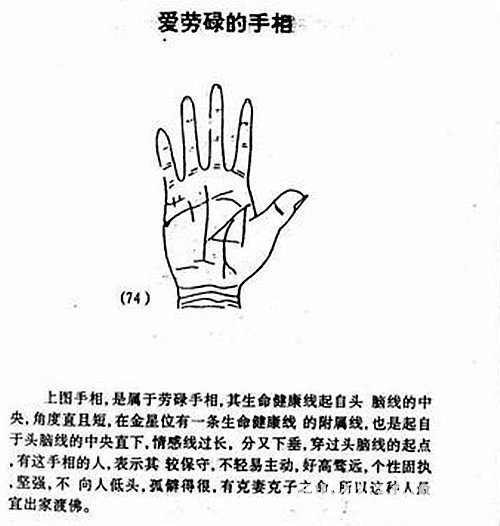 Love labor palm diagram