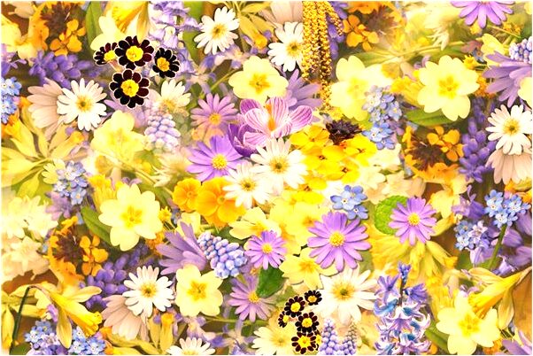 夢見騎車走路有什麼說法_周公解夢官網