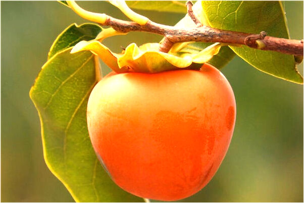 夢見死人送路有什麼意思_周公解夢官網