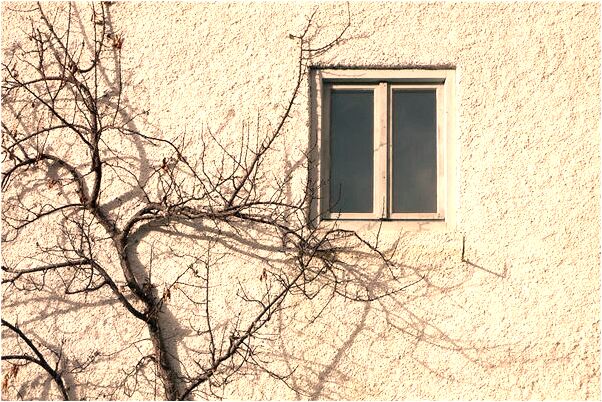 夢到了夢裡和老公偷了好多碗是好是壞_周公解夢官網