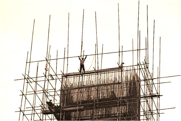 夢見在袋子裡的狗的預兆_周公解夢官網