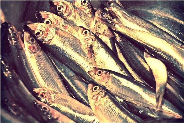 夢到了許多小蛇纏繞滿身預兆了什麼嗎_周公解夢官網