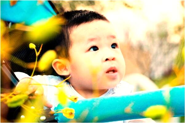 夢到了沒吃早飯是什麼預兆_周公解夢官網