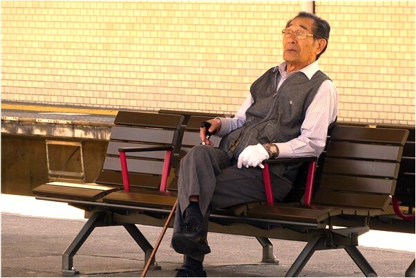 夢見生小黑豬會怎么樣_周公解夢官網