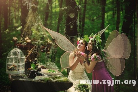 Dream of fairy