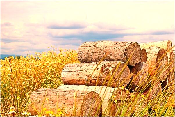 夢見開車上迷路是咋回事_周公解夢官網