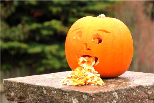 夢見沒上成廁所有什麼寓意嗎_周公解夢官網