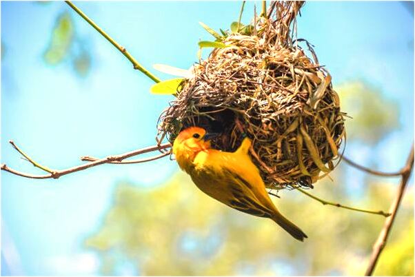 夢到了被蛇咬到出血了意味著什麼_周公解夢官網