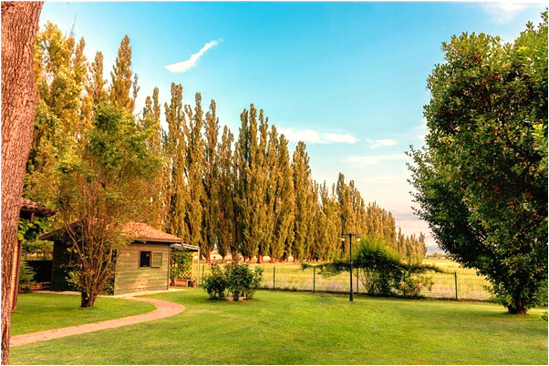 夢見陌生人掉洞裡會是什麼預兆_周公解夢官網