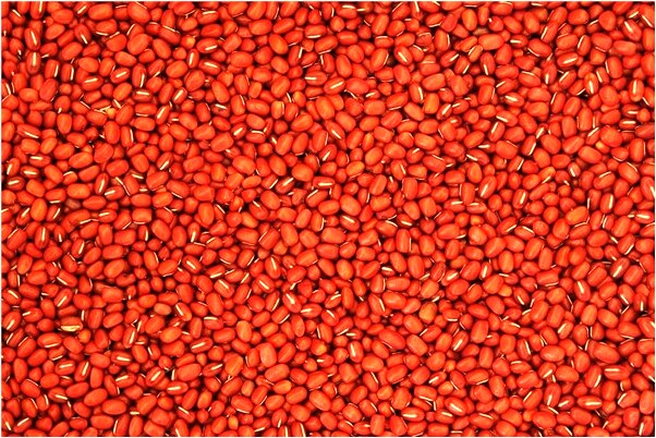 夢見過去住過的地方是好是壞_周公解夢官網