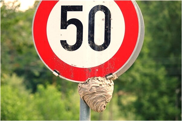 夢到了把果子帶回家預示什麼_周公解夢官網