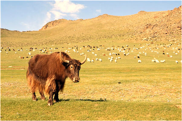 夢見父子同時愛上我意味著什麼_周公解夢官網