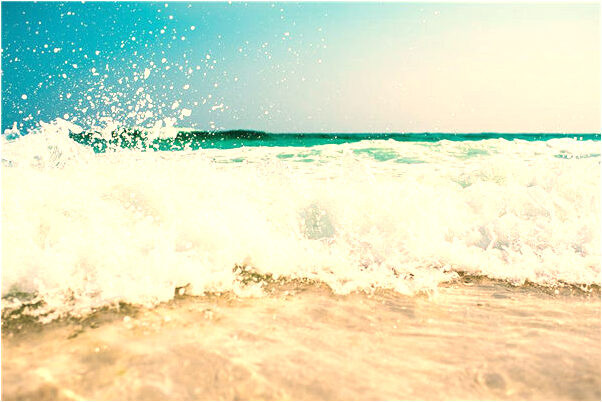 夢到了狗來我家被栓起來了是什麼預兆_周公解夢官網