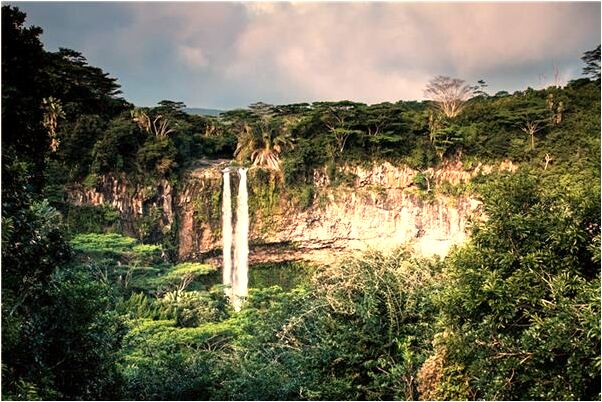 夢到了牛從樹上掉下來砸到自己怎么樣_周公解夢官網