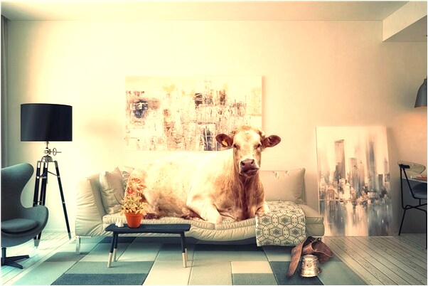 夢到自己很反叛會是什麼預兆_周公解夢官網