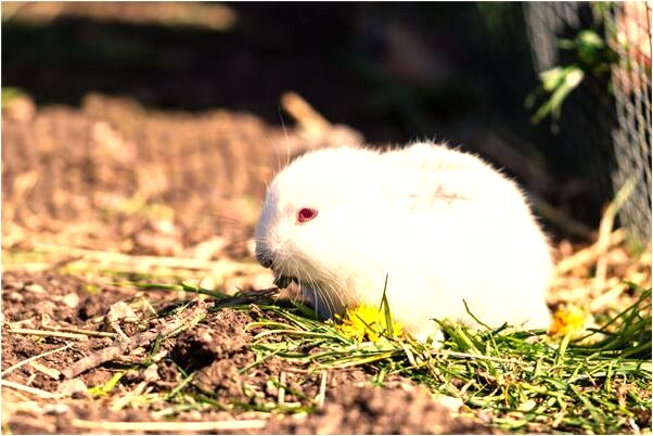 夢見請輸入跟人打架怎么說_周公解夢官網