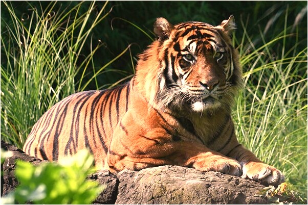 夢到在山頂上遇到泉水什麼預兆_周公解夢官網