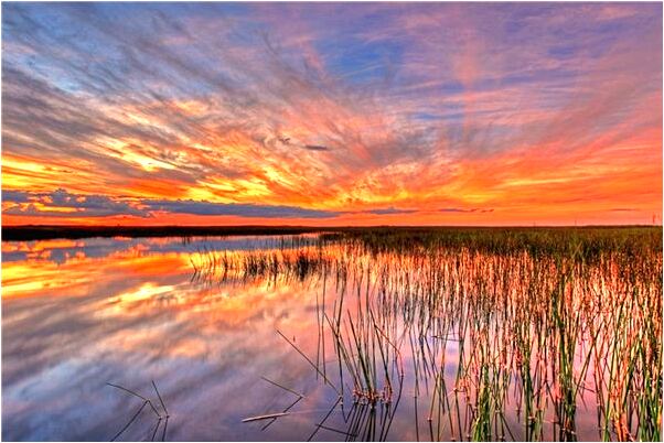 夢到了電動車車座被人撬了好不好_周公解夢官網