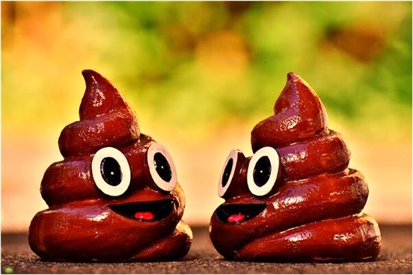 夢見摔杯子卻不碎是吉兆嗎?_周公解夢官網