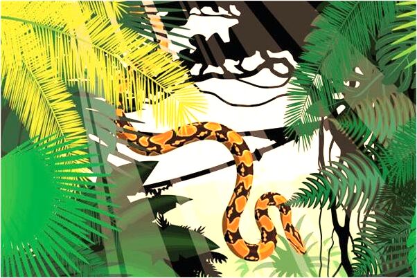 夢到裸體走有什麼徵兆_周公解夢官網