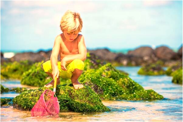 夢到開小車變腳踏車會預示什麼_周公解夢官網