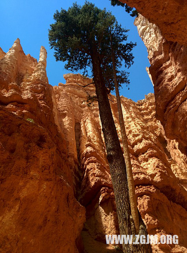 夢見高僧的遺物_周公解夢夢到高僧的遺物是什麼意思_做夢夢見高僧的遺物好不好_周公解夢官網