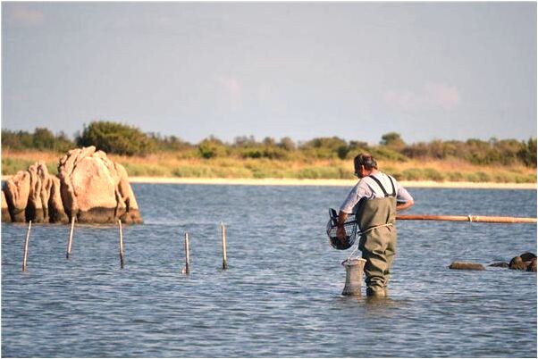 夢見朋友車禍死的預兆_周公解夢官網