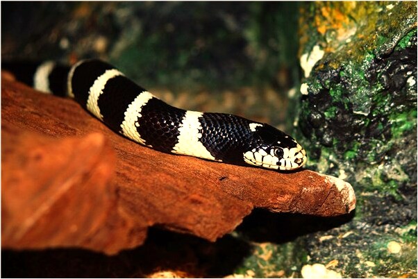 夢到喜歡的女人沒穿衣服是好是壞_周公解夢官網