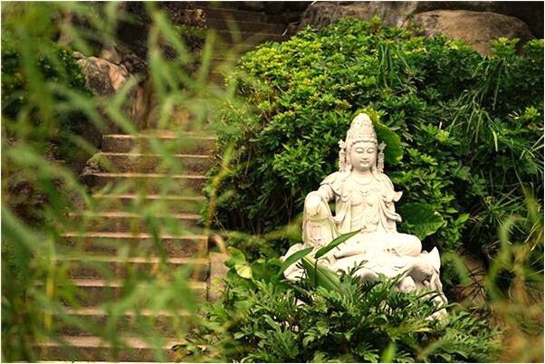 夢見已逝奶奶給我錢有什麼預兆_周公解夢官網