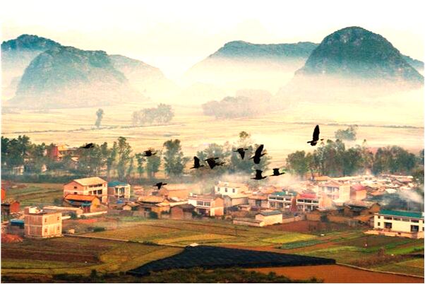 夢到了懷孕補蛇纏身意味著什麼_周公解夢官網