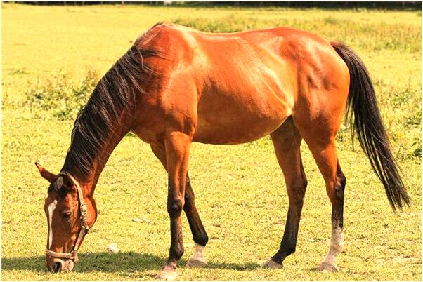 夢到了撞到山上是啥預兆_周公解夢官網