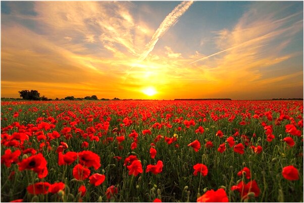 夢到了做愛別人看見了是什麼預兆？_周公解夢官網