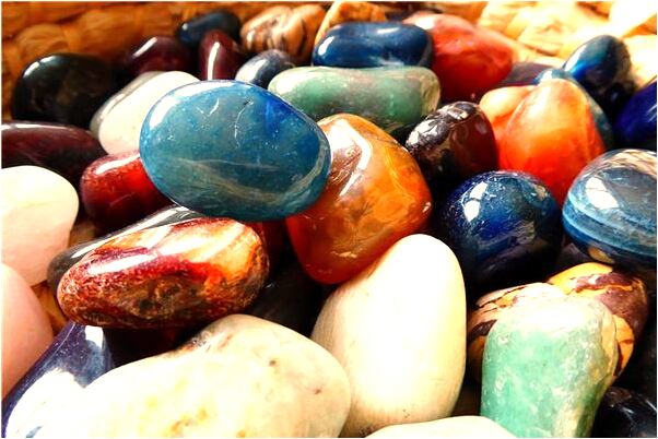 夢見魚塘沒有水魚跑了預示什麼_周公解夢官網