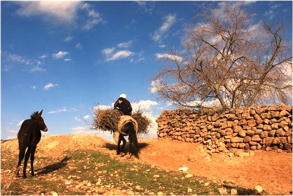 夢到和嫂子親吻是什麼預兆？_周公解夢官網