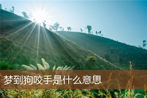 夢到狗咬手是什麼意思_周公解夢