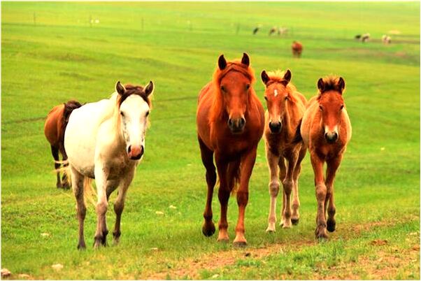 夢見睡時被異性按摩頭部按醒的預兆_周公解夢官網