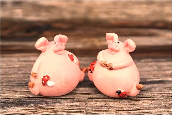 夢到了我追蛇是什麼啟示_周公解夢官網