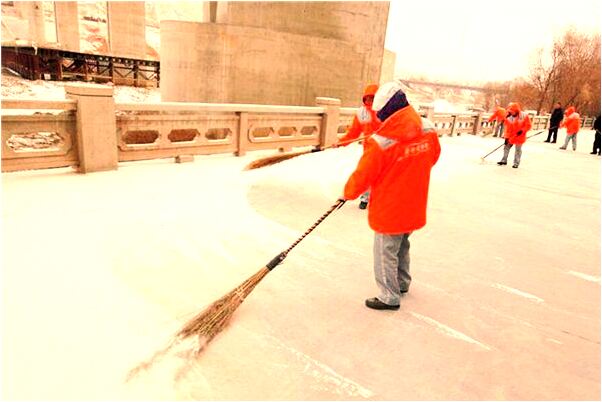 夢到了家裡的豬懷孕有什麼意思_周公解夢官網