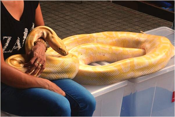 夢到走泥水路怎么回事_周公解夢官網