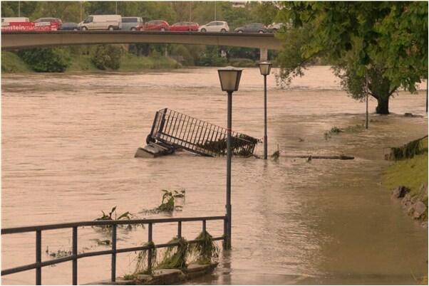 夢到了祈求鳥神獲得幫助是什麼徵兆_周公解夢官網