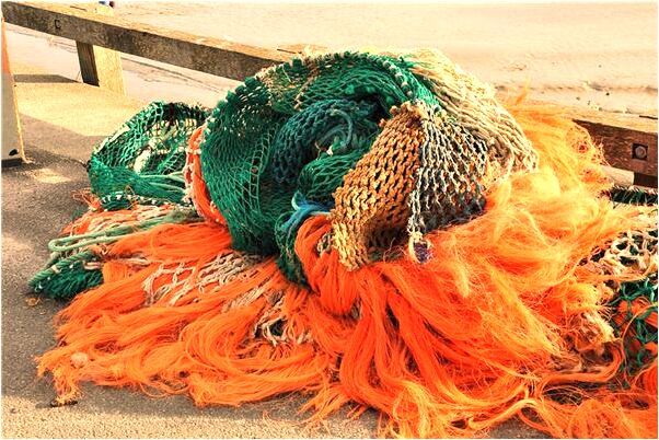 夢見先父面色紅潤說要穿布鞋代表什麼_周公解夢官網