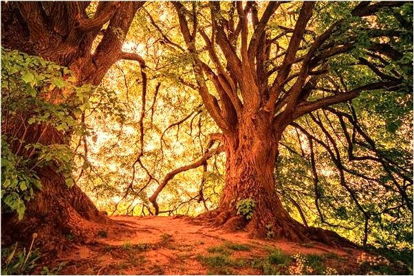 夢到男人吻我意味著什麼是什麼預兆_周公解夢官網